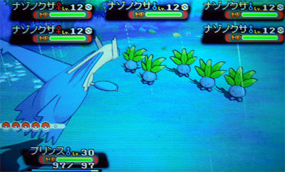 努力値を上げる手順 群れバトル ポケモン情報ねっと