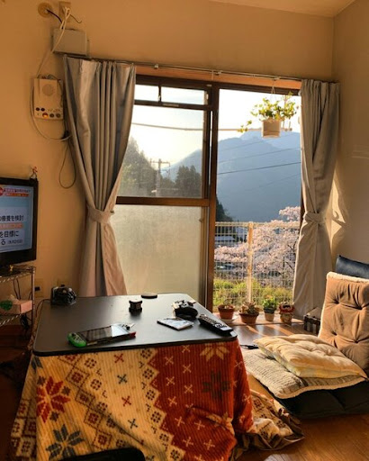 外国人「日本最小の村に移住して幸せになれたけど何か質問ある？」（高知県大川村 海外の反応）