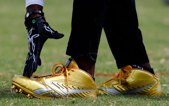 brittney palmer shoes. The Cincinnati Bengals#39; Chad