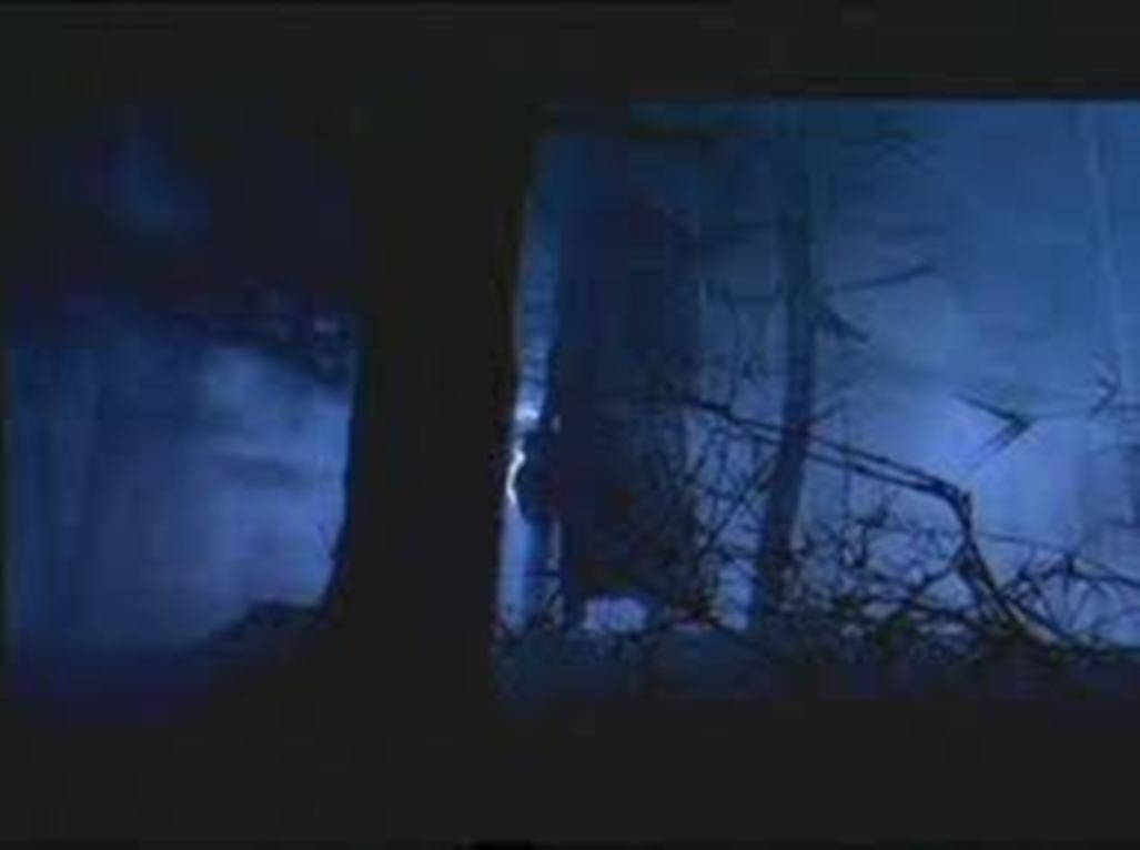 Misteri Hantu jeruk Purut