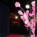 Katy Perry Part of Me Australian Premiere