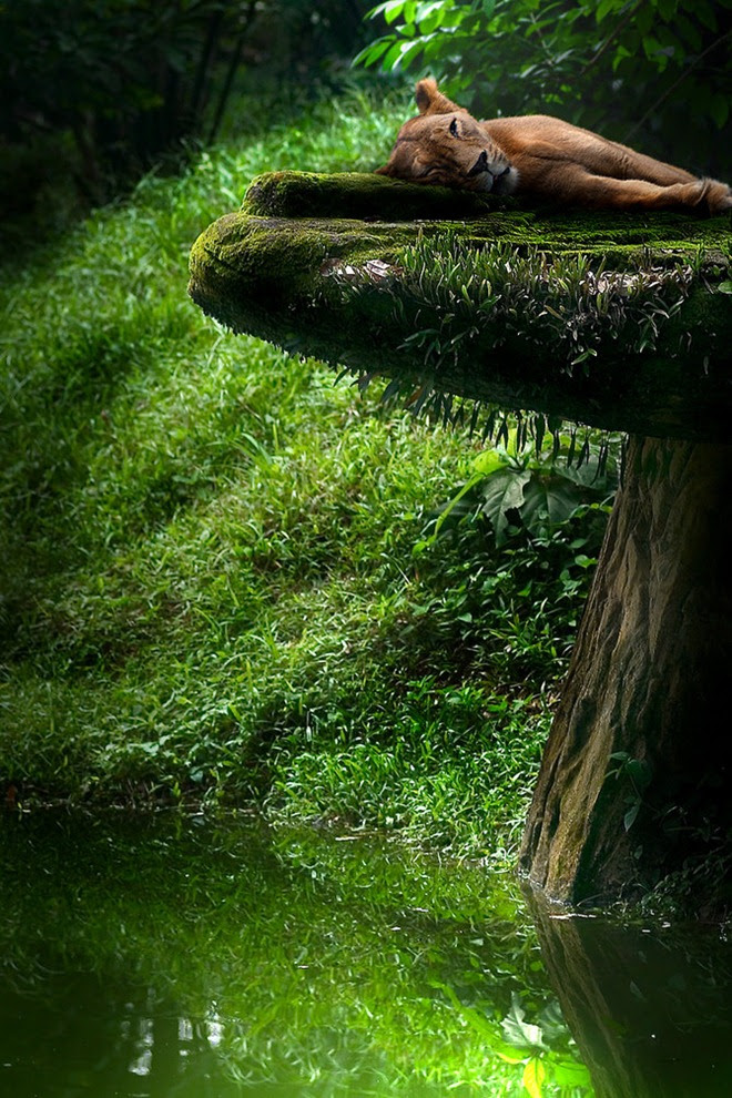 Beautiful Work Of Photography