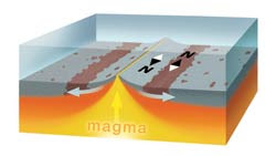 Figure 2: Magnetic reversals