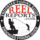 Reel Fishing Reports for saltwater