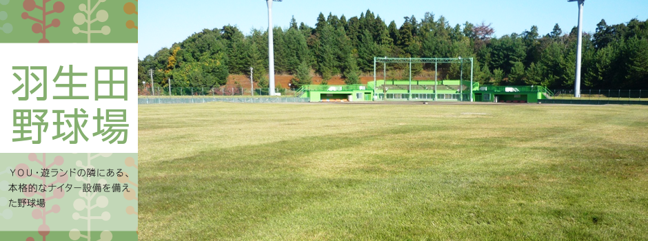 田上町営羽生田野球場 田上町総合公園you遊ランド