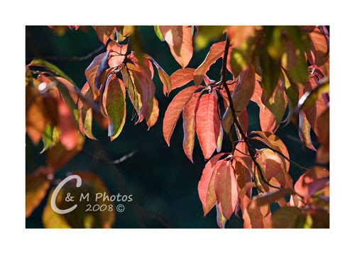 Oct1408_0009ew