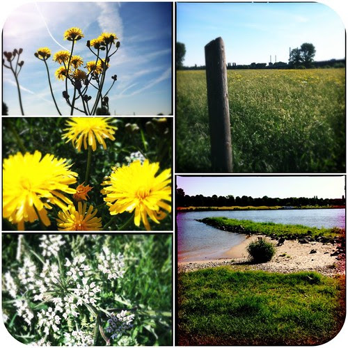 photo by Beate Knappe