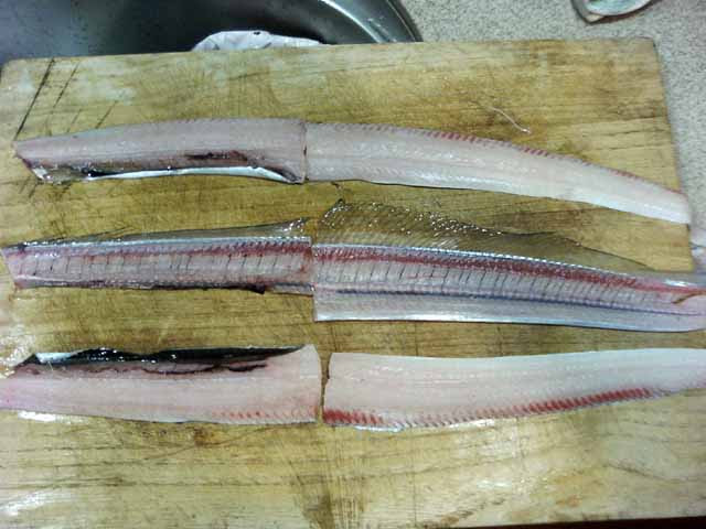 太刀魚の刺身 ３種類の切り方で その１ 鰭を飾ります 魚料理と簡単レシピ