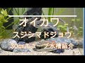 画像をダウンロード ハヤ 飼育 274181-ハヤ 飼育 水温