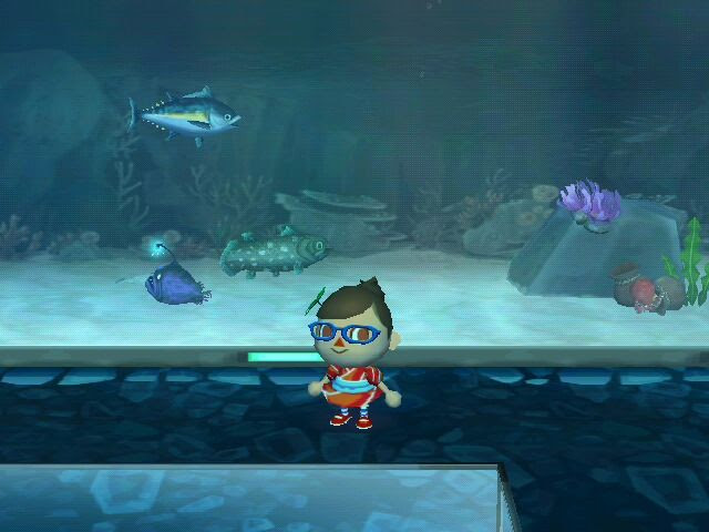 Animal Crossing: City Folk Community - some screen caps from O'Dwyer