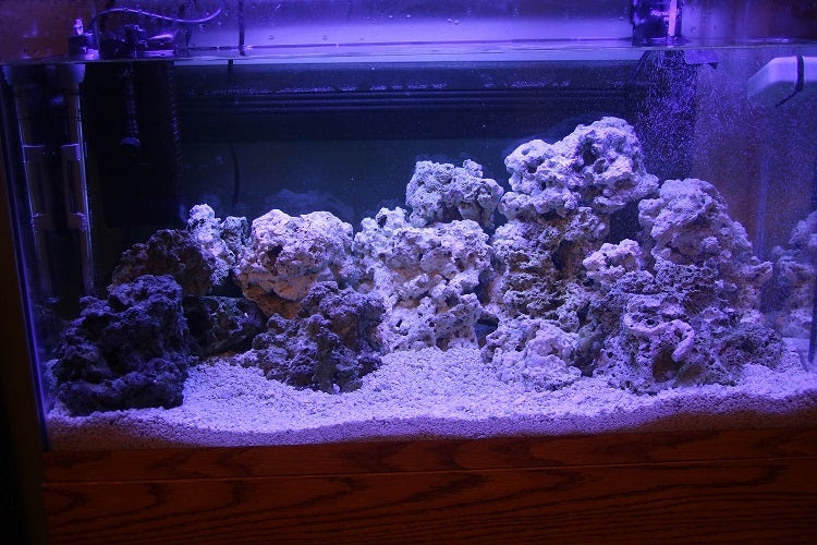 Click image for larger version Name: aquascape1.jpg Views: N/A Size: 187.9 KB ID: 122385