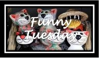  Funny Tuesday 