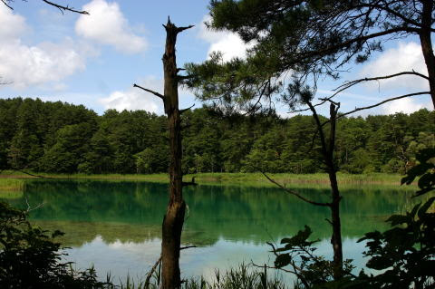 五色沼の夏