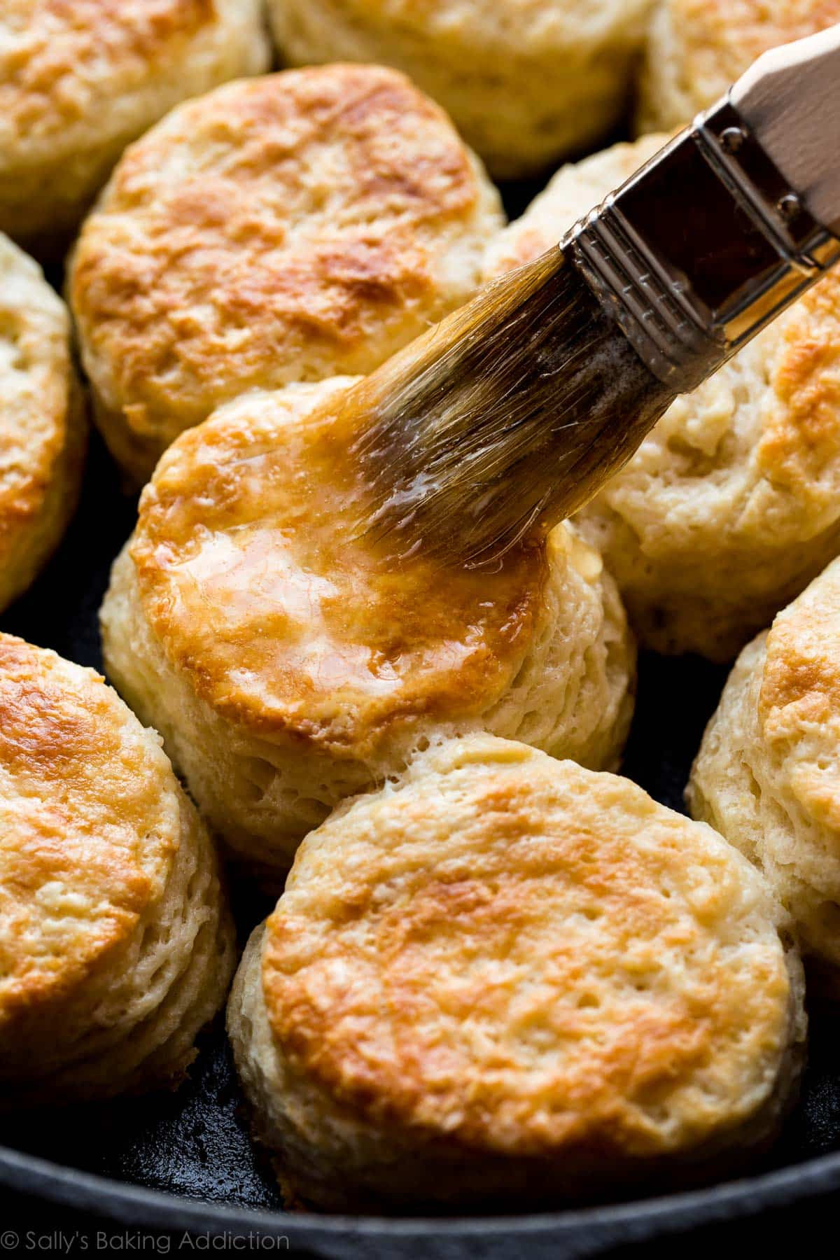 The Tricks for Flaky Buttermilk  Biscuits  Sallys Baking 