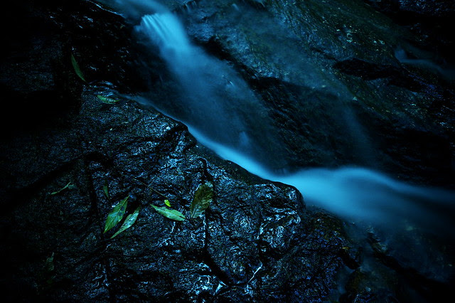 _DSC0437