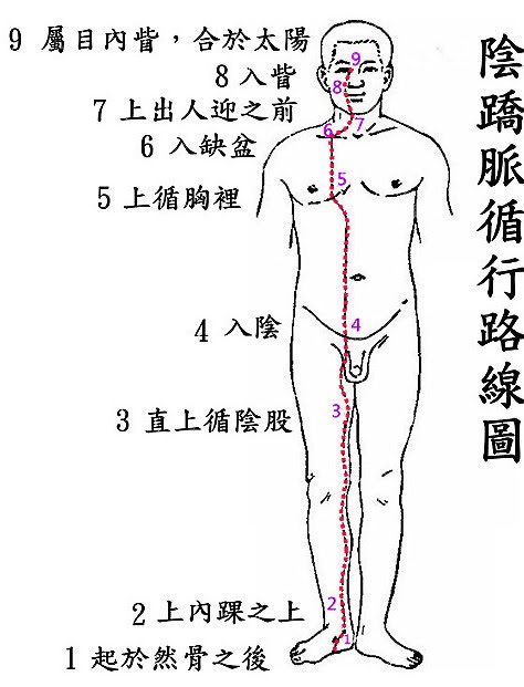 32 19 H V Yin Heel Vessel Line 經絡學acupuncture Points Udn部落格