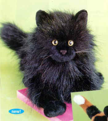 Kucing Anggora Hitam Keren Kucing Anggora Hitam Keren