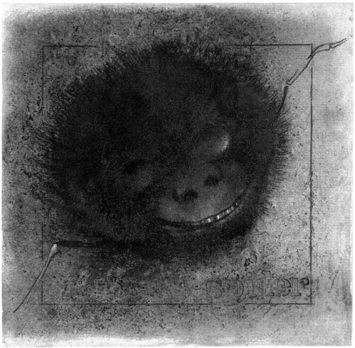 Spider Monkey (after Redon)