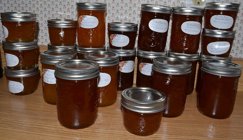 Plum jam so far - Aug 12