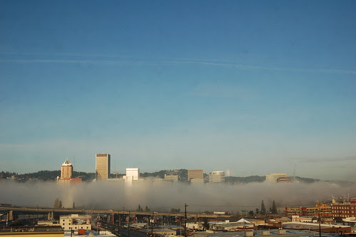 DSC_0368