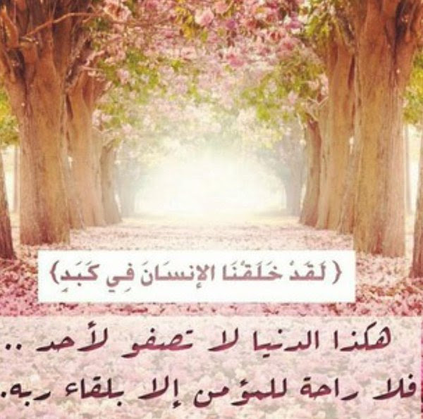 Ø´Ø¹Ø± Ø¹Ù Ø§ÙØ­ÙØ§Ø© ÙÙÙØ§Øª Ø¹Ù Ø§ÙØ¯ÙÙØ§ ÙØ¤Ø«Ø± ØµØ¯Ø§ÙØ© Ø§ÙØ£ØµØ¯ÙØ§Ø¡