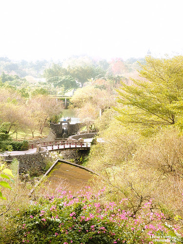光的公園