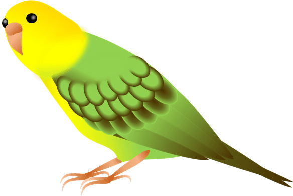 黄緑のセキセイインコのイラスト 黄色 デフォルメ 無料イラスト素材 ちいさないきもの