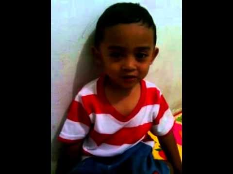 Mengenal Hewan Dengan Dekat