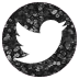  photo twitter.png