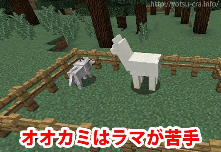マインクラフト 狼の見つけ方 捕まえ方 繁殖方法も徹底解説