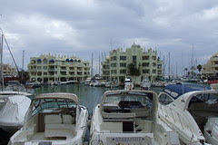 DSCF6818
