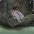 Garmisch Partenkirchen Sommer : Freizeittipps Garmisch-Partenkirchen | Grand Hotel Sonnenbichl : Einfach großartig angela hundsdorfer als pumuckl findet eure barbara.