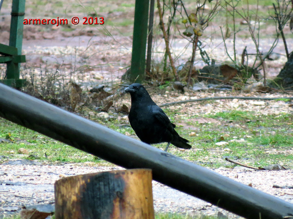 IMG_1501 firma