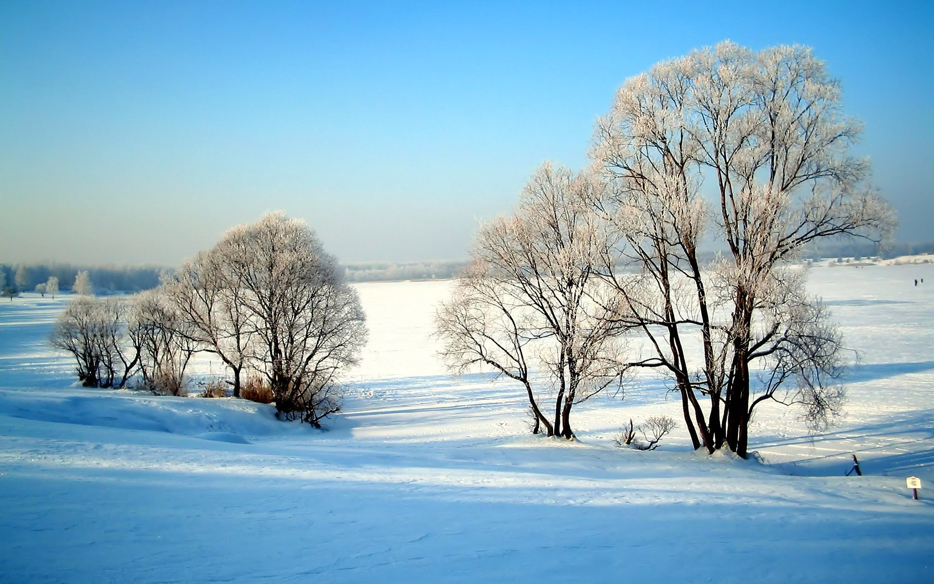 Winter Solstice Wallpaper (58+ images)