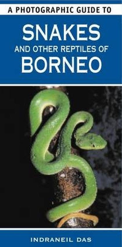 A Photographic Guide To Birds Of Borneo Photographic Guides