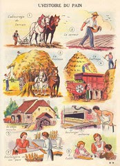 L'histoire du pain