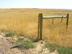 Broken Fence