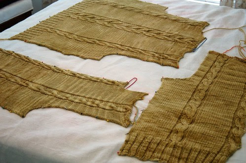 Central Park Hoodie blocking