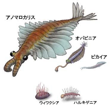最強動物列伝 カンブリア紀編 川崎悟司 オフィシャルブログ 古世界の住人 Powered By Ameba