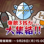 ポケとる パスワード一覧 ポケモン情報ねっと