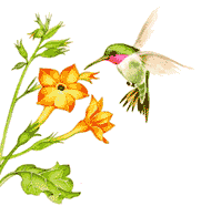 http://i258.photobucket.com/albums/hh260/aondenamoro_fotos/flores/1flor58.gif