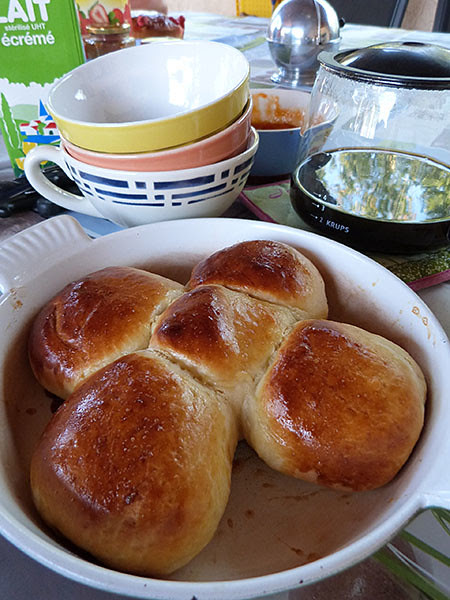 muffins myrtille