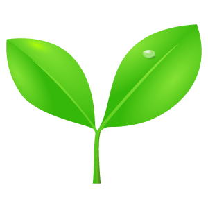 新芽 花 植物イラスト Flode Illustration フロデイラスト