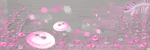 i create for: