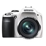 Fujifilm FinePix SL300 14 MP Digital Camera with 30x Optical Zoom