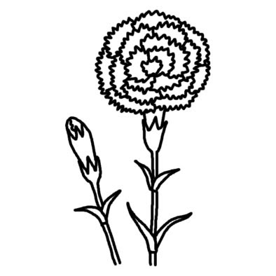 カーネーション1 春の花 無料 白黒イラスト素材