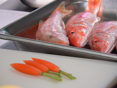 rougets et carottes.jpg