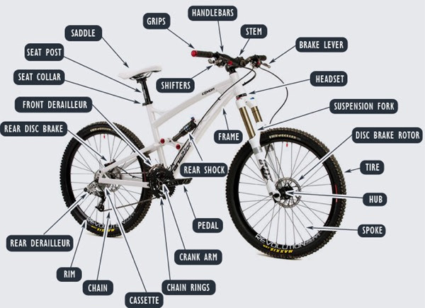 Mtb_callout