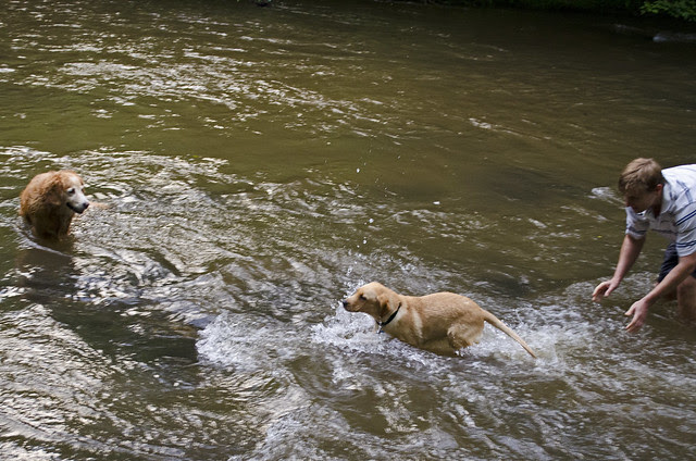 swimming lessons for pouncey