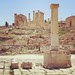 #jerash #jordan #vacation